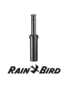Rain Bird Pop Up Sprinklers